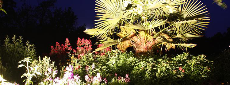 Eclairage d'un jardin par projecteur